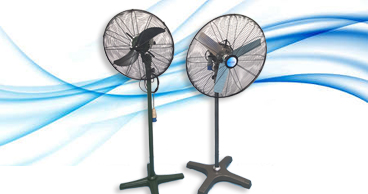Standing Fan